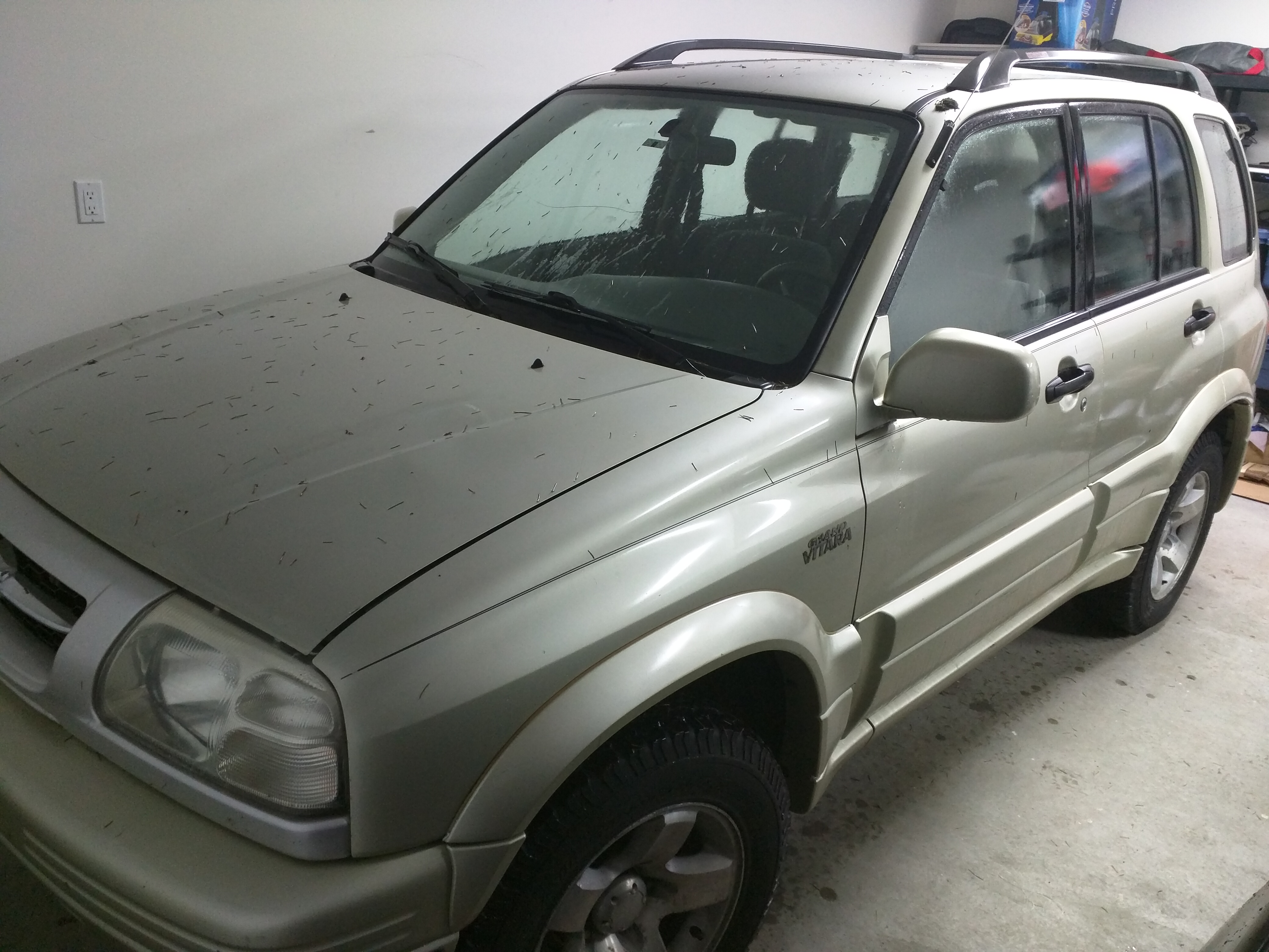 Purchasing the 2000 Grand Vitara