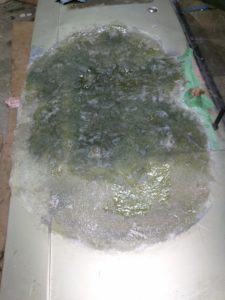 rear-door-fibreglassing-2